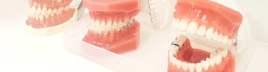 吉祥寺駅 北口・吉祥寺エル矯正歯科・院長から皆様へ