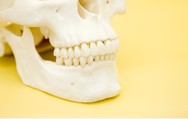 吉祥寺駅 北口・吉祥寺エル矯正歯科・治療は何歳からでも始められますが、早く始めるほどメリットは大きくなります